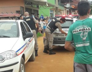 Palmeiras (1)