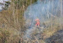 Foto: Corpo de Bombeiros Militar de Manhuaçu