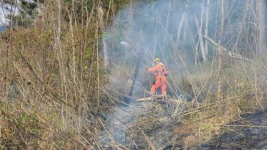 Foto: Corpo de Bombeiros Militar de Manhuaçu