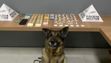 Foto: Polícia Militar de Minas Gerais