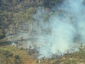 Foto: Corpo de Bombeiros Militar de Manhuaçu