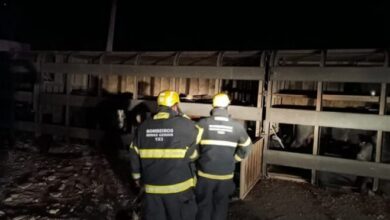 Foto: Divulgação / Corpo de Bombeiros
