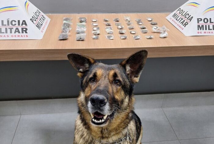 Foto: Polícia Militar de Minas Gerais