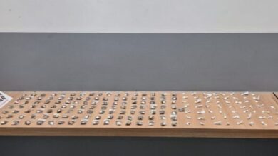 Foto: Polícia Militar de Minas Gerais