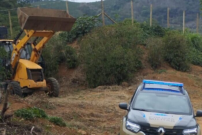 Foto: Polícia Militar de Minas Gerais