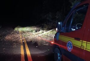 Foto: Corpo de Bombeiros de Minas Gerais