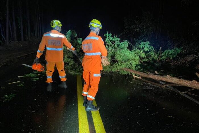 Foto: Corpo de Bombeiros de Minas Gerais