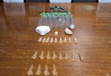 Foto: Polícia Militar de Minas Gerais