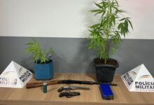 Foto: Polícia Militar de Minas Gerais