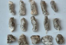 Foto: Polícia Militar de Minas Gerais