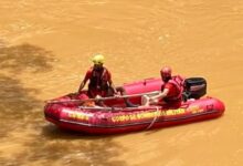 Foto: CBMMG / Divulgação