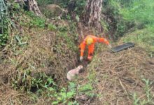 Foto: Corpo de Bombeiros de Minas Gerais