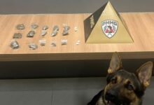 Foto: Polícia Militar de Minas Gerais