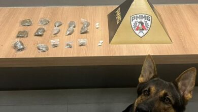 Foto: Polícia Militar de Minas Gerais