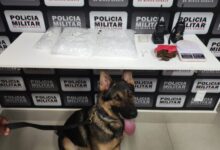 Foto: Polícia Militar de Minas Gerais