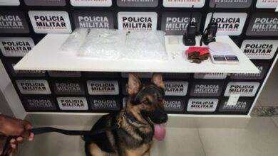 Foto: Polícia Militar de Minas Gerais