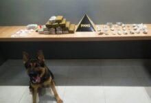 Foto: Polícia Militar de Minas Gerais