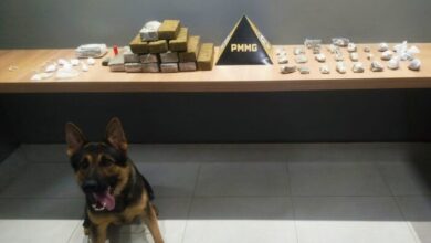 Foto: Polícia Militar de Minas Gerais