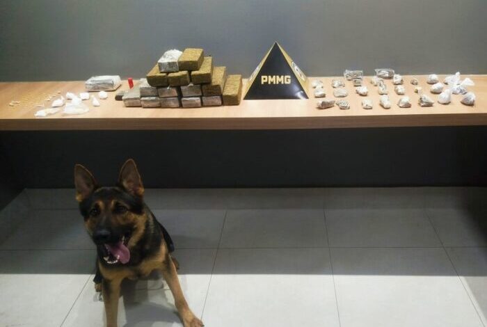 Foto: Polícia Militar de Minas Gerais