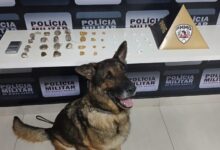 Foto: Polícia Militar de Minas Gerais