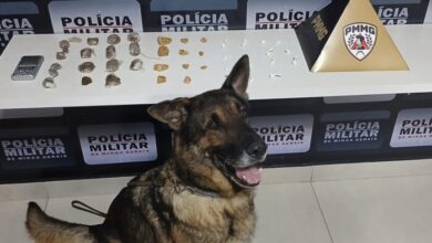 Foto: Polícia Militar de Minas Gerais
