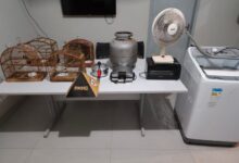 Foto: Polícia Militar de Minas Gerais