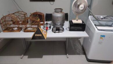 Foto: Polícia Militar de Minas Gerais