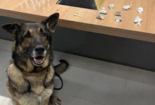 Foto: Polícia Militar de Minas Gerais