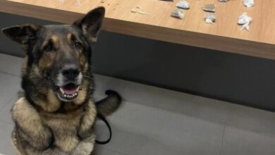 Foto: Polícia Militar de Minas Gerais