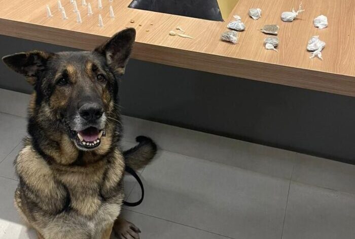 Foto: Polícia Militar de Minas Gerais