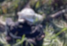 Foto: Líder Notícias