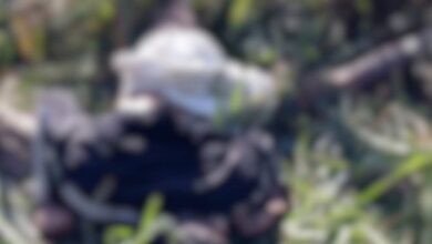 Foto: Líder Notícias