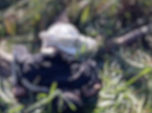 Foto: Líder Notícias