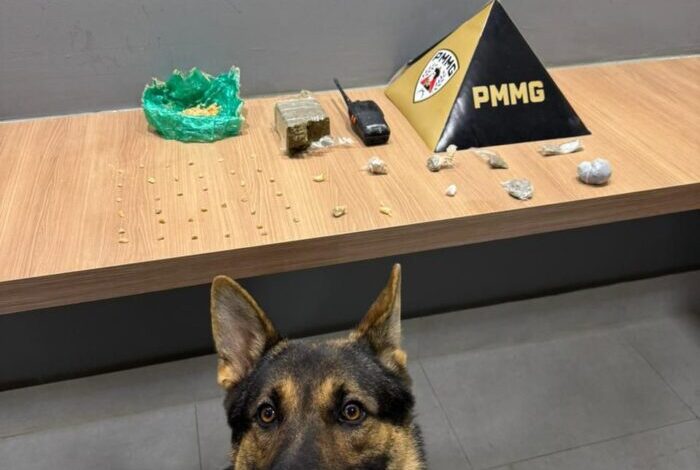 Foto: Polícia Militar de Minas Gerais