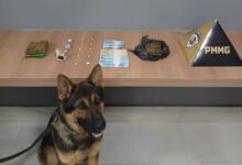 Foto: Polícia Militar de Minas Gerais