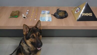 Foto: Polícia Militar de Minas Gerais