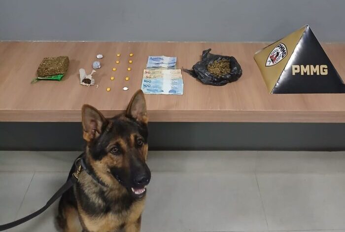 Foto: Polícia Militar de Minas Gerais