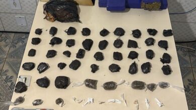 Foto: Polícia Militar de Minas Gerais