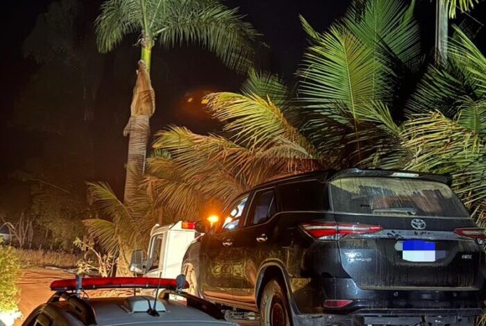 Foto: Polícia Militar de Minas Gerais