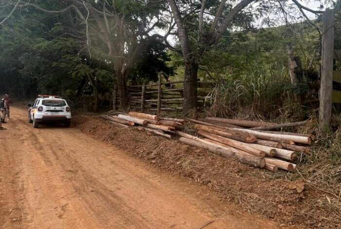 Foto: Polícia Militar de Minas Gerais
