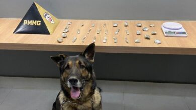 Foto: Polícia Militar de Minas Gerais