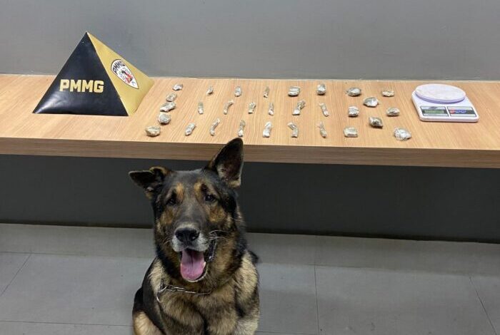 Foto: Polícia Militar de Minas Gerais