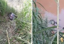 Carro com família cai em rio após batida na BR-116 e mata pai e dois filhos em Inhapim — Foto: Reprodução