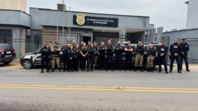 Foto: Polícia Militar de Minas Gerais