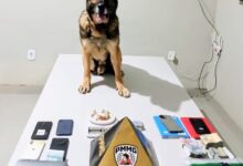 Foto: Polícia Militar de Minas Gerais