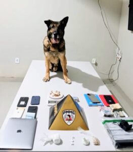 Foto: Polícia Militar de Minas Gerais