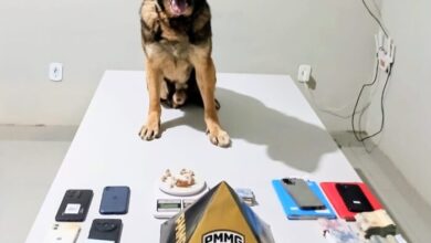 Foto: Polícia Militar de Minas Gerais