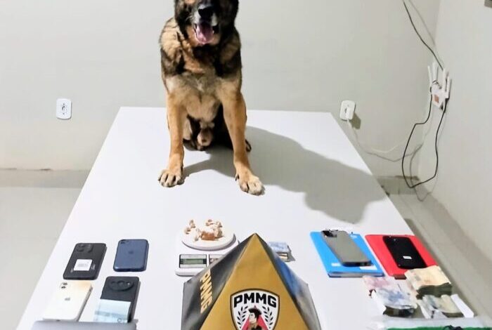 Foto: Polícia Militar de Minas Gerais
